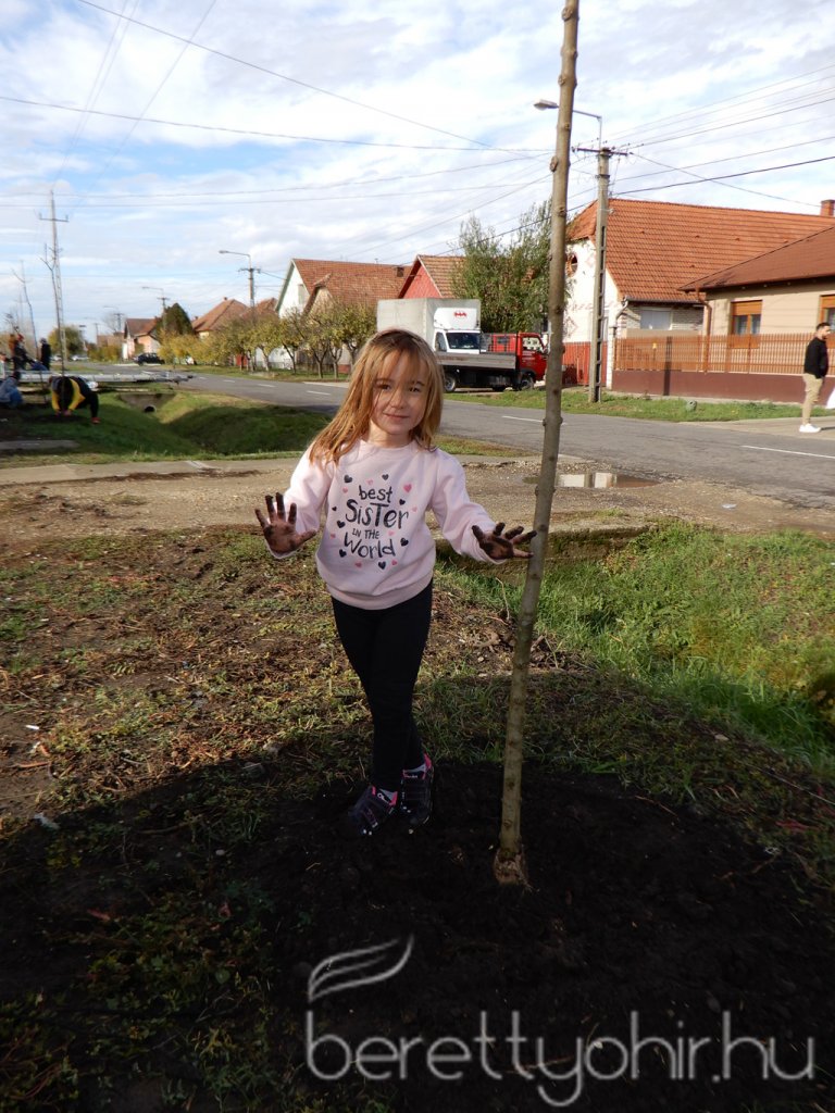 Közösségi faültetés Berettyóújfaluban 62